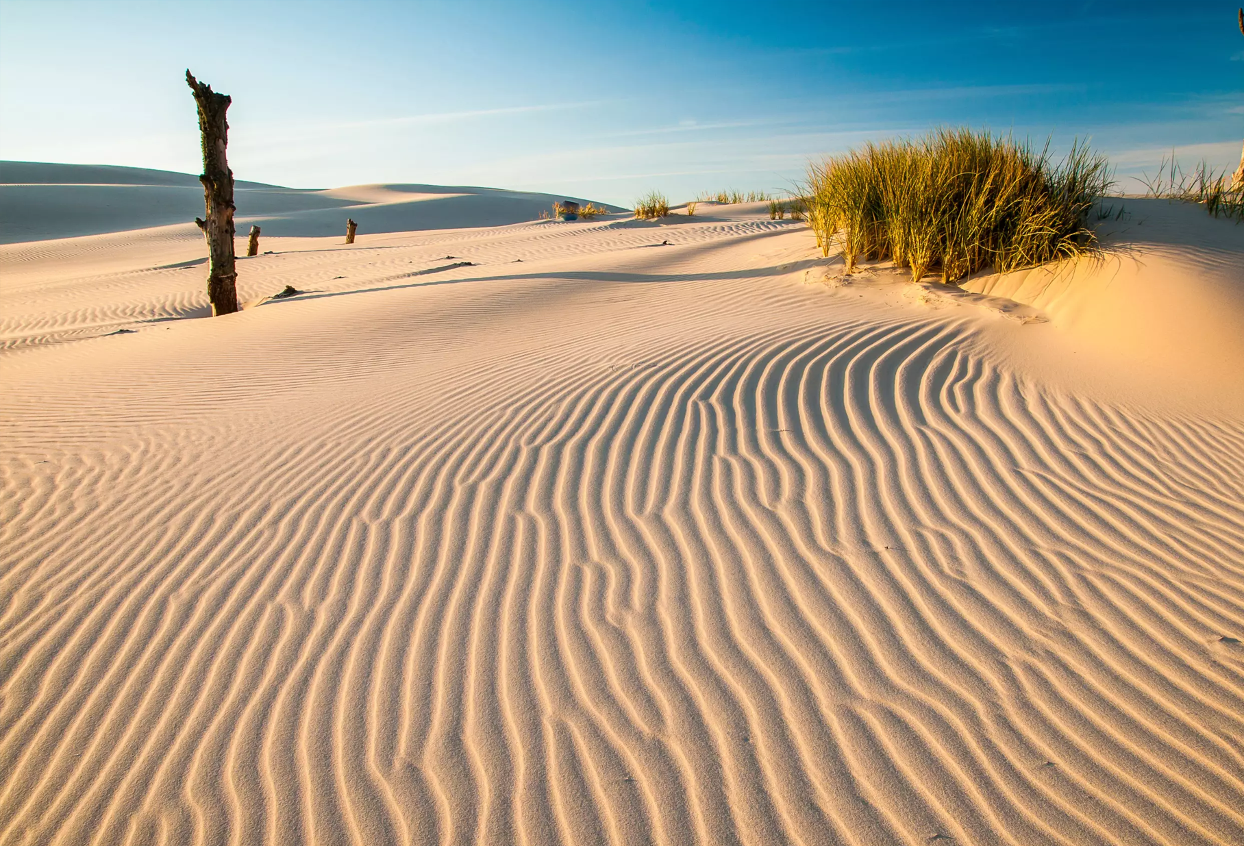 Ruchome wydmy w Łebie — polska Sahara nad Bałtykiem